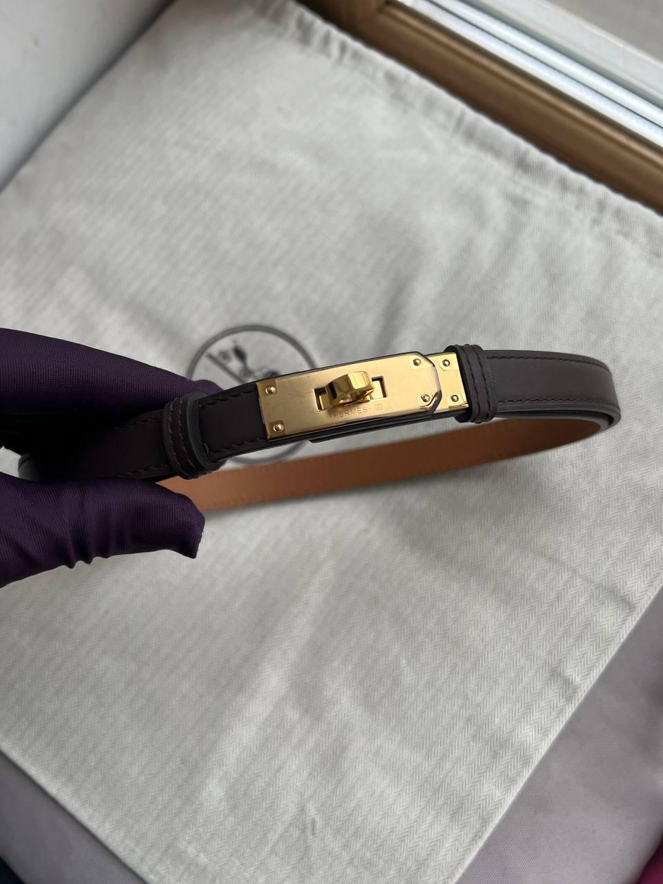 Premium Studded Belt